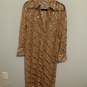 Zara Bronze Blush Sequin Shirtdress